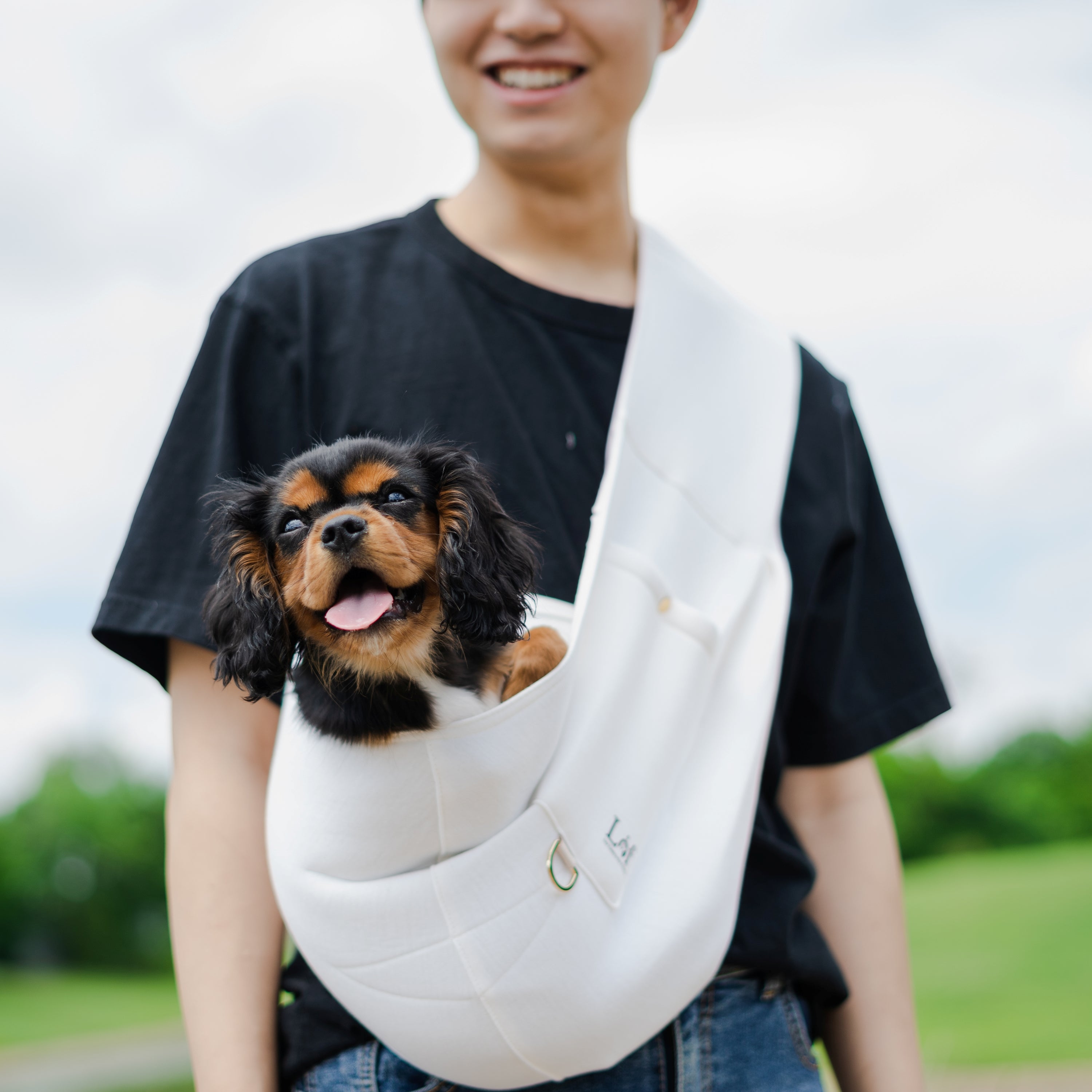 Lof Neoprene Pet Sling Carrier - Secure & Stylish Travel for Small Pets