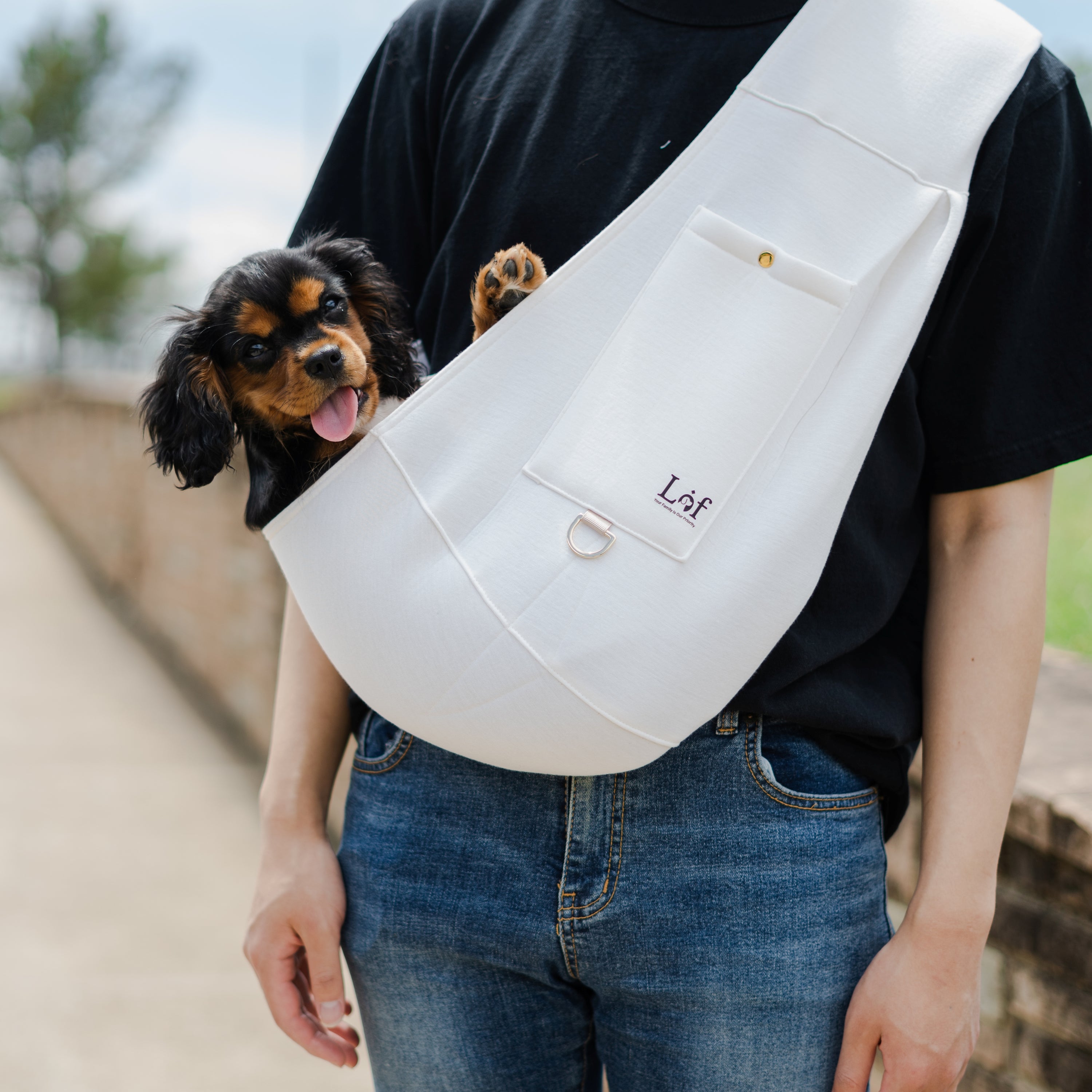 Lof Neoprene Pet Sling Carrier - Secure & Stylish Travel for Small Pets