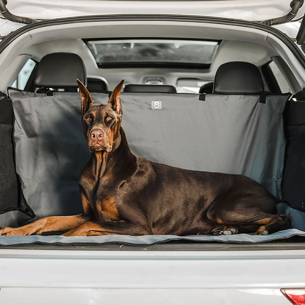 Dog lying on a car mat in the back of a vehicle