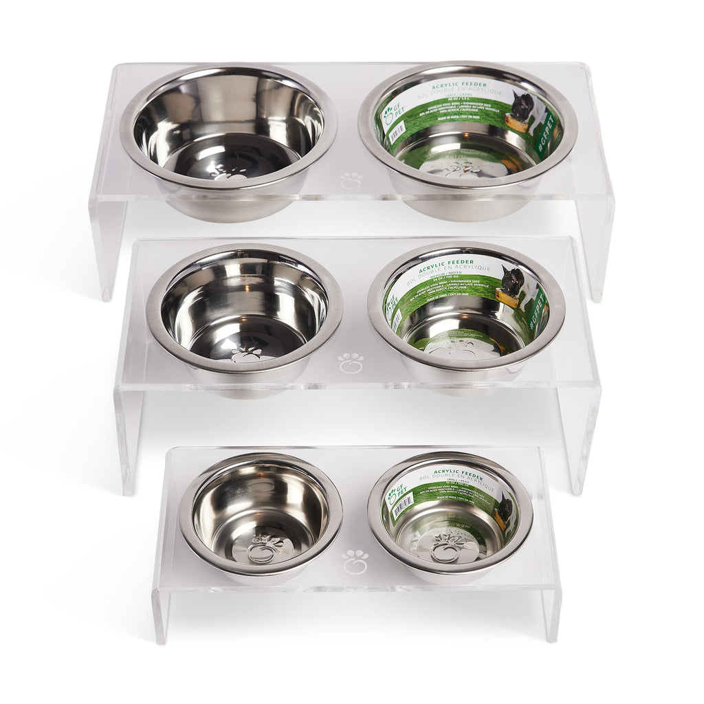 Acrylic and Stainless Steel Double Feeder - Clear, Minimalist, Stylish