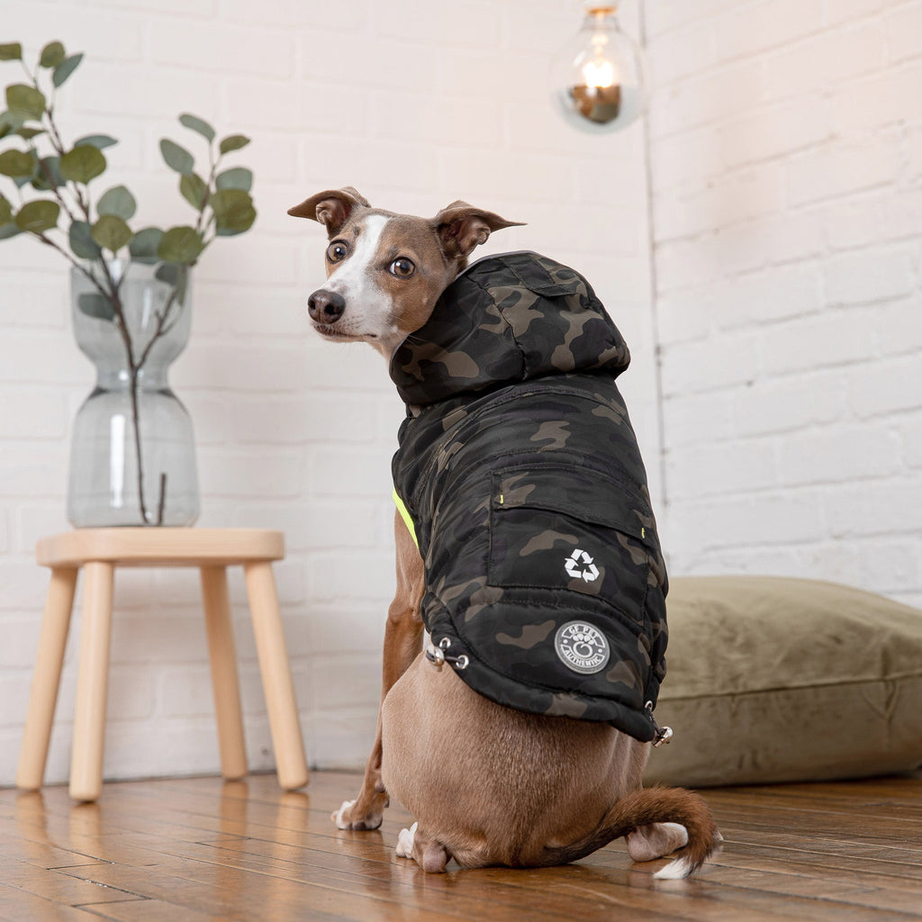 Pet Parka - Camouflage