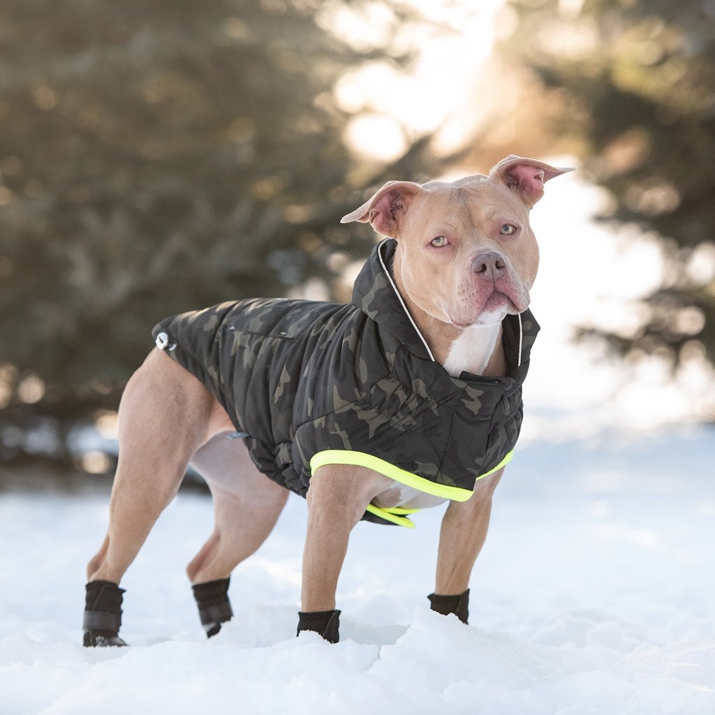 Pet Parka - Camouflage