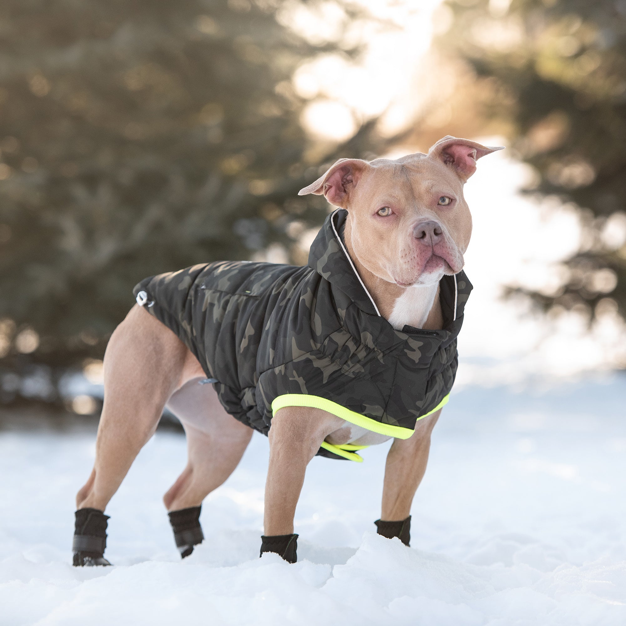 Pet Parka - Camouflage