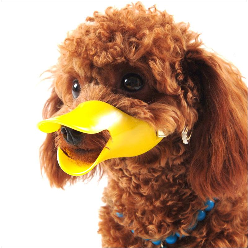 Anti-Bite/Bark Silicone Duck Muzzle
