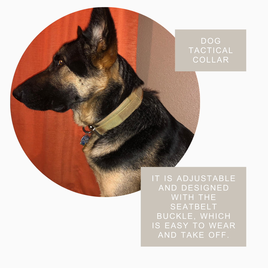 Dog wearing a tactical collar with text about its adjustable design.