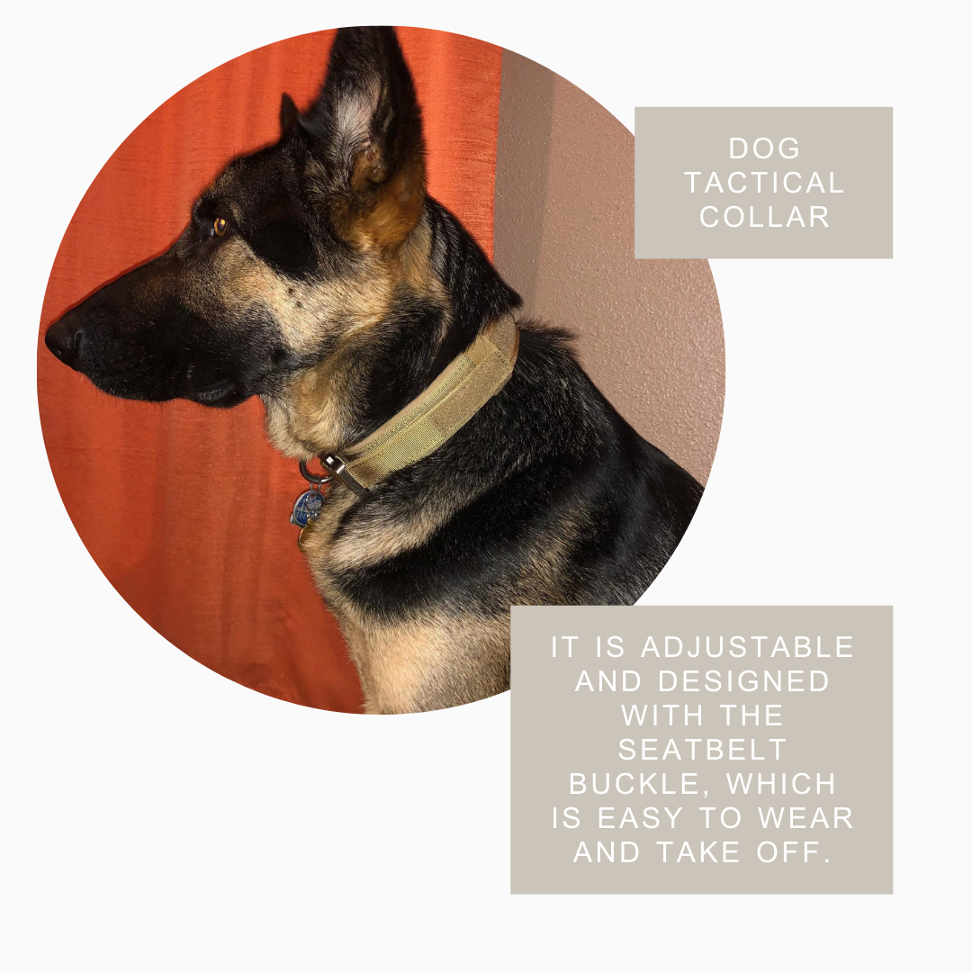 Dog wearing a tactical collar with text about its adjustable design.