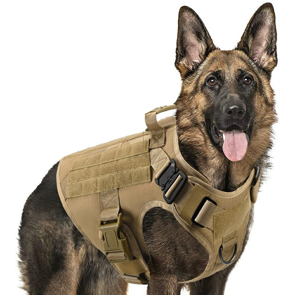 German Shepherd wearing a tan tactical dog vest on a white background
