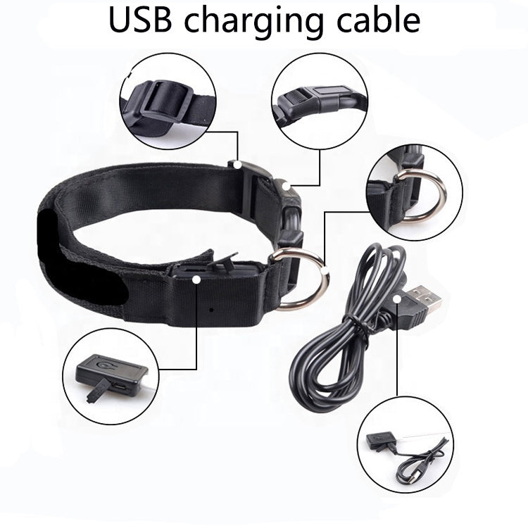 Black dog collar with USB charging cable on a white background