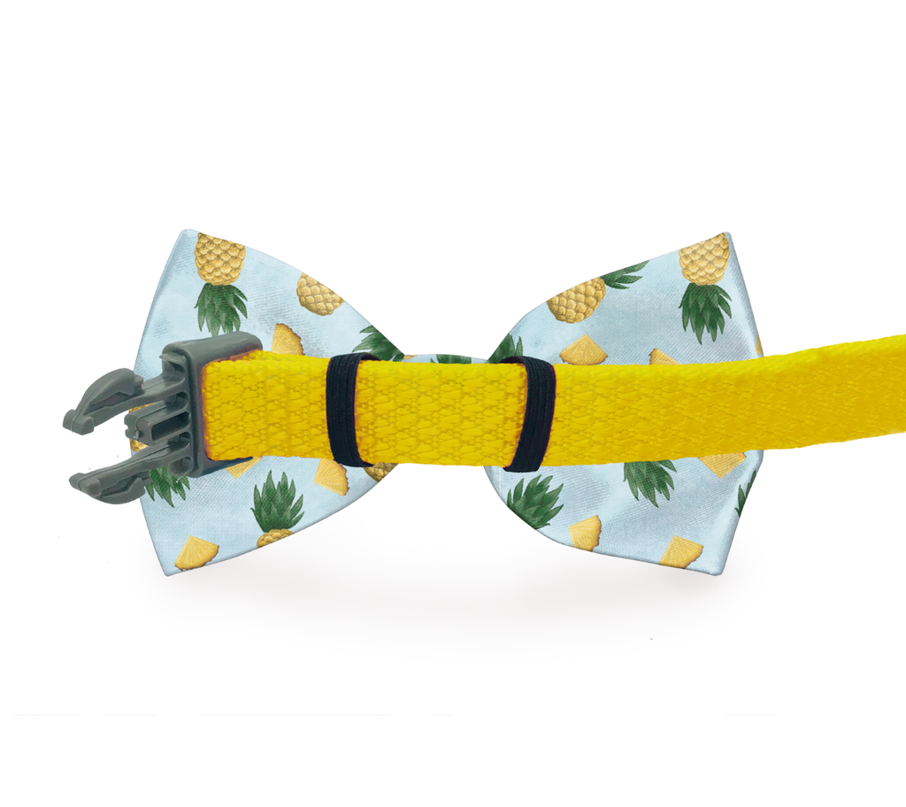 Pink & Blue Dog Bow Tie